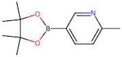 6-Methylpyridine-3-boronic acid, pinacol ester