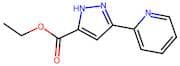 Ethyl 3-(pyridin-2-yl)-1H-pyrazole-5-carboxylate