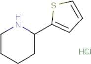 2-(2-Thienyl)piperidine hydrochloride