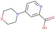 4-Morpholin-1-ylpyridine-2-carboxylic acid
