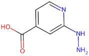 2-Hydrazinoisonicotinic acid