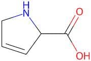 2,5-Dihydro-1H-pyrrole-2-carboxylic acid