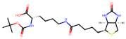N-t-BOC-biocytin