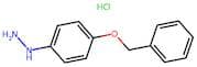 4-(Benzyloxy)phenylhydrazine hydrochloride