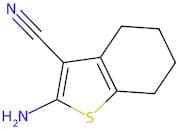 2-Amino-4,5,6,7-tetrahydrobenzo[b]thiophene-3-carbonitrile