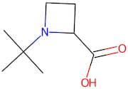 1-(tert-Butyl)azetidine-2-carboxylic acid