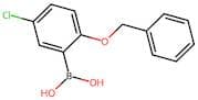 2-Benzyloxy-5-chlorobenzeneboronic acid