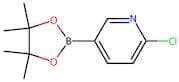 6-Chloropyridine-3-boronic acid, pinacol ester