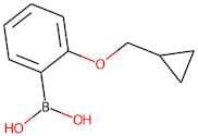 2-(Cyclopropylmethoxy)benzeneboronic acid
