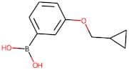 3-(Cyclopropylmethoxy)benzeneboronic acid