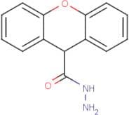 9H-Xanthene-9-carbohydrazide