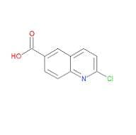 2-Chloroquinoline-6-carboxylic acid