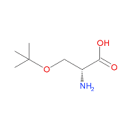 H-D-Ser(tBu)-OH