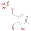 Pyridoxal 5'-phosphate