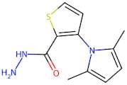3-(2,5-Dimethylpyrrol-1-yl)thiophene-2-carbohydrazide