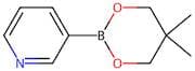 Pyridine-3-boronic acid, neopentylglycol ester