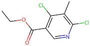 Ethyl 4,6-dichloro-5-methylnicotinate
