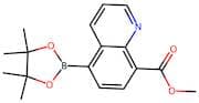 Methyl 5-(4,4,5,5-tetramethyl-1,3,2-dioxaborolan-2-yl)quinoline-8-carboxylate