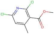 Methyl 2,6-dichloro-4-methylnicotinate