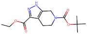 6-(tert-Butyl) 3-ethyl 1,4,5,7-tetrahydro-6H-pyrazolo[3,4-c]pyridine-3,6-dicarboxylate