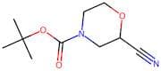 tert-Butyl 2-cyanomorpholine-4-carboxylate