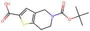 5-(tert-Butoxycarbonyl)-4,5,6,7-tetrahydrothieno[3,2-c]pyridine-2-carboxylic acid