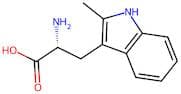 (R)-2-Amino-3-(2-methyl-1H-indol-3-yl)propanoic acid