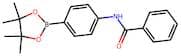 N-(4-(4,4,5,5-Tetramethyl-1,3,2-dioxaborolan-2-yl)phenyl)benzamide