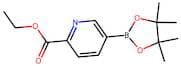 Ethyl 5-(4,4,5,5-tetramethyl-1,3,2-dioxaborolan-2-yl)picolinate