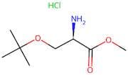 (R)-Methyl 2-amino-3-(tert-butoxy)propanoate hydrochloride