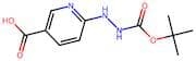 6-(2-(tert-Butoxycarbonyl)hydrazinyl)nicotinic acid