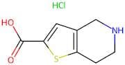 4,5,6,7-Tetrahydrothieno[3,2-c]pyridine-2-carboxylic acid hydrochloride