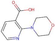 2-Morpholinonicotinic acid