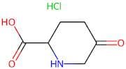 5-oxopiperidine-2-carboxylic acid hydrochloride
