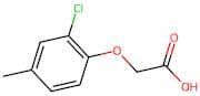2-(2-Chloro-4-methylphenoxy)acetic acid