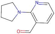 2-(Pyrrolidin-1-yl)nicotinaldehyde