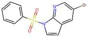 1-(Benzenesulfonyl)-5-bromo-1H-pyrrolo[2,3-b]pyridine