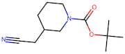 tert-Butyl 3-(cyanomethyl)piperidine-1-carboxylate