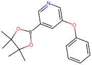 3-Phenoxy-5-(4,4,5,5-tetramethyl-1,3,2-dioxaborolan-2-yl)pyridine