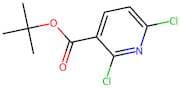 tert-Butyl 2,6-dichloronicotinate