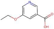 5-Ethoxypyridine-3-carboxylic acid