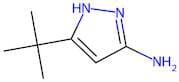 5-Amino-3-(tert-butyl)-1H-pyrazole