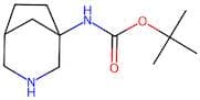 Tert-butyl (3-azabicyclo[3.2.1]Octan-1-yl)carbamate