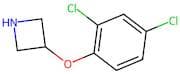 3-(2,4-Dichlorophenoxy)azetidine