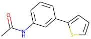 N-[3-(2-Thienyl)phenyl]acetamide