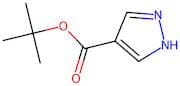 tert-Butyl 1H-pyrazole-4-carboxylate