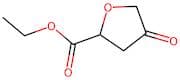 Ethyl tetrahydro-4-oxo-2-furancarboxylate