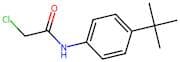 N-(4-tert-Butylphenyl)-2-chloroacetamide