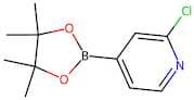 2-Chloropyridine-4-boronic acid, pinacol ester