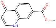 Methyl 4-oxo-1,4-dihydroquinoline-7-carboxylate